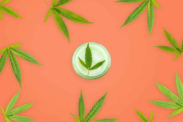 Avis thcp : les effets et les avantages de ce cannabinoïde